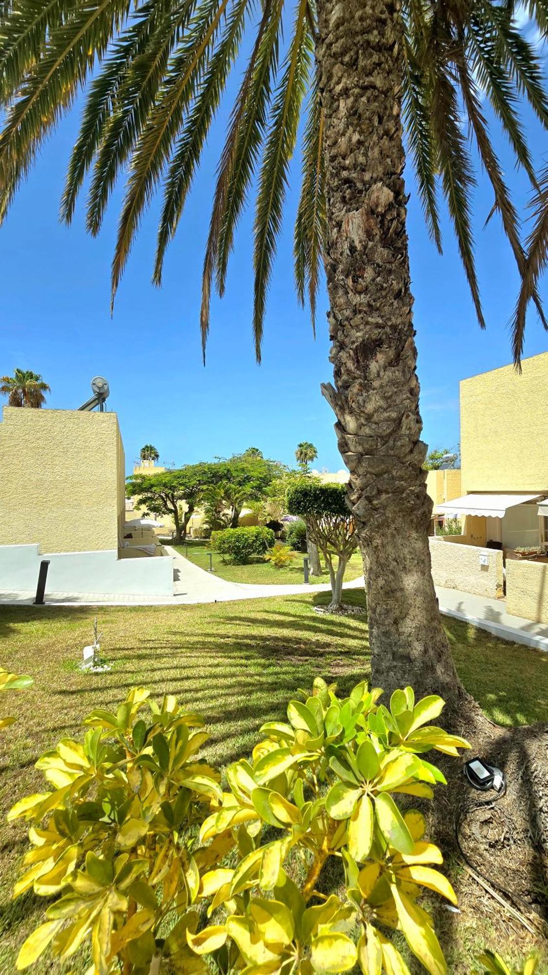 Dream Holiday Las Americas Playa de las Americas  Exterior foto